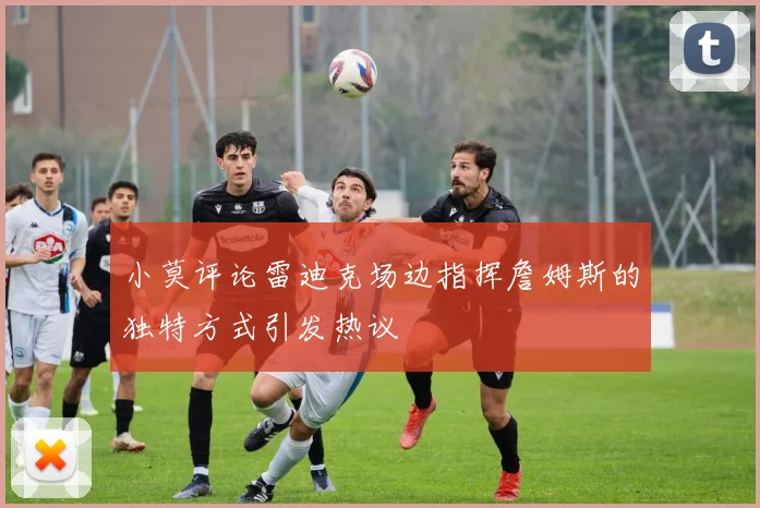 小莫评论雷迪克场边指挥詹姆斯的独特方式引发热议