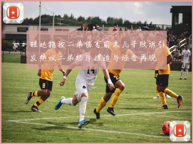 旺达指控二弟伤害前夫儿子败诉引发热议二弟怒斥捏造与诬告再现