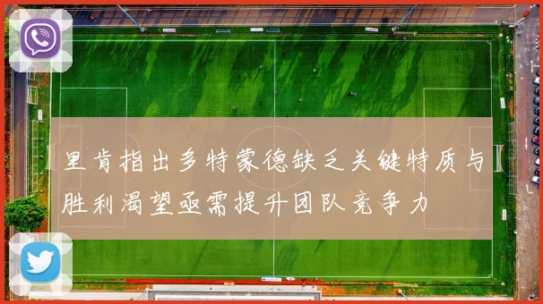 里肯指出多特蒙德缺乏关键特质与胜利渴望亟需提升团队竞争力
